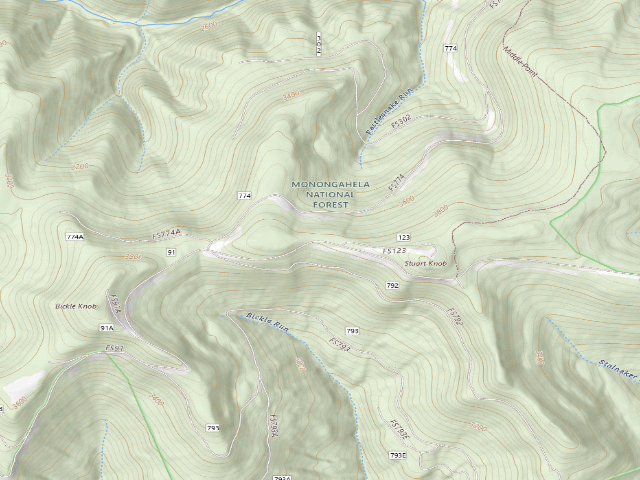 USGS topographic map of Monongahela National Forest