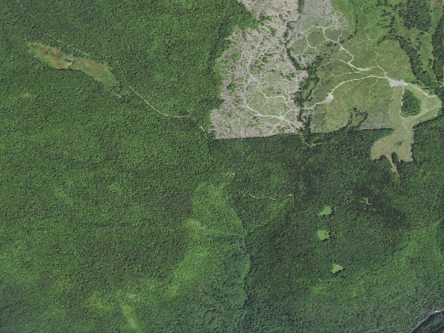 Aerial image of Monongahela National Forest