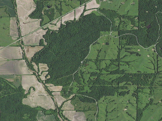 Aerial image of Montgomery Woods Conservation Area