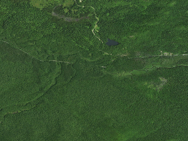 Aerial image of Monty Flats (Saint Regis Canoe Area)