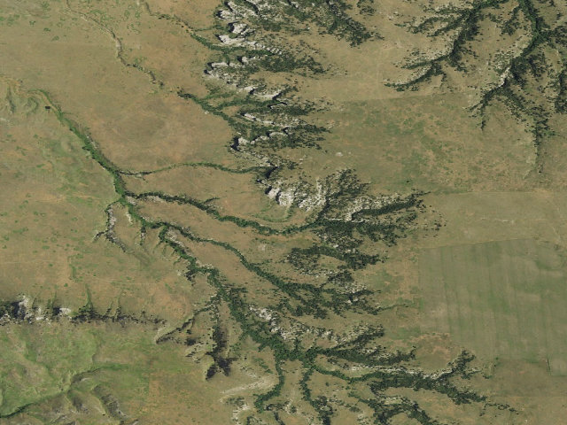Aerial image of Montz Point WMA