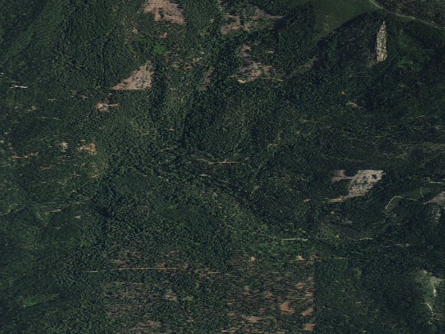 Aerial image of Mooney Creek