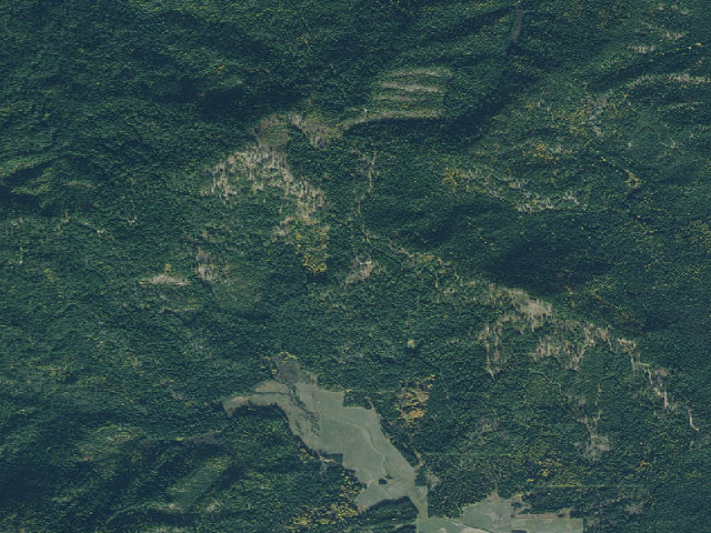 Aerial image of Moores-001