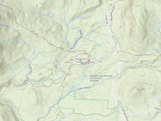 USGS topographic map of Moosalamoo