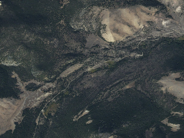 Aerial image of Moose