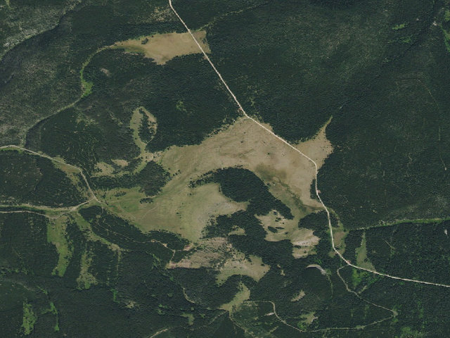 Aerial image of Moose Park-004