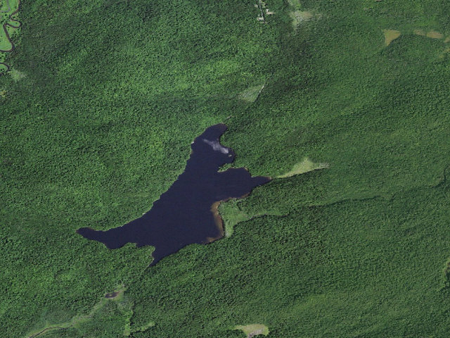 Aerial image of Moose Pond Designated Tent Site #1 [DEC #13648] (Mckenzie Mountain Wilderness)