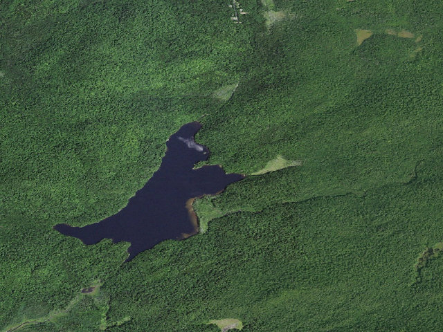 Aerial image of Moose Pond Designated Tent Site #2 [DEC #13647] (Mckenzie Mountain Wilderness)