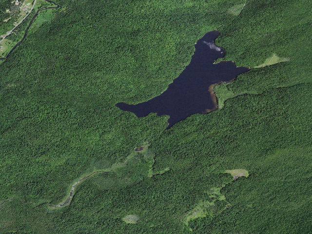 Aerial image of Moose Pond Designated Tent Site #3 [DEC #13646] (Mckenzie Mountain Wilderness)