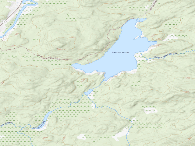USGS topographic map of Moose Pond Designated Tent Site #3 [DEC #13646] (Mckenzie Mountain Wilderness)