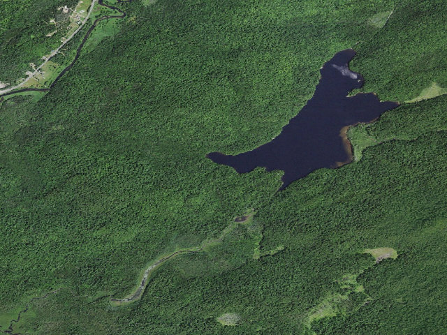 Aerial image of Moose Pond Designated Tent Site #4 [DEC #13645] (Mckenzie Mountain Wilderness)