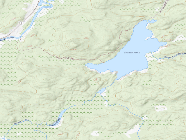 USGS topographic map of Moose Pond Designated Tent Site #4 [DEC #13645] (Mckenzie Mountain Wilderness)