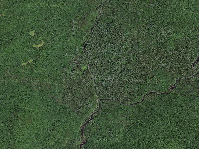 Aerial image of Moose Pond Rd Campsite #2 (Vanderwhacker Mountain Wild Forest)