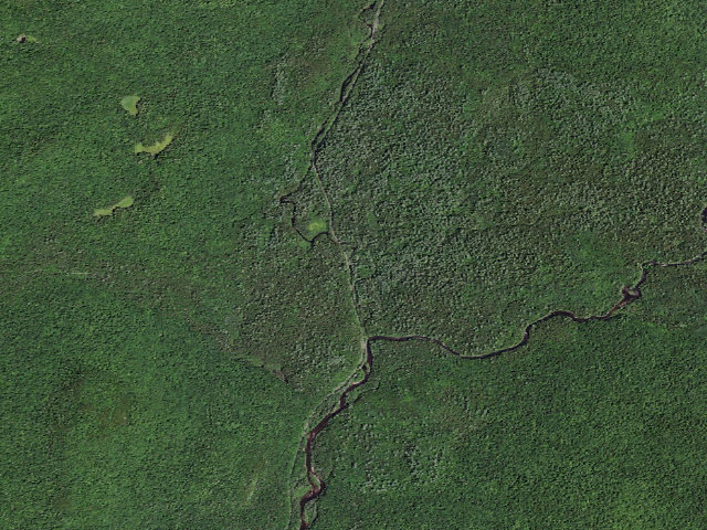Aerial image of Moose Pond Rd Campsite #3 (Vanderwhacker Mountain Wild Forest)
