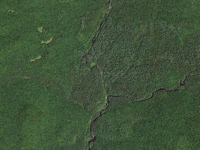 Aerial image of Moose Pond Rd Campsite #4 (Vanderwhacker Mountain Wild Forest)