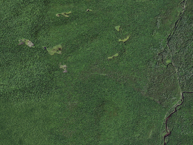 Aerial image of Moose Pond Rd Campsite #5 (Vanderwhacker Mountain Wild Forest)