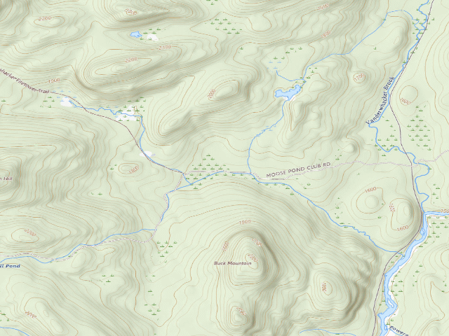 USGS topographic map of Moose Pond Rd Campsite #5 (Vanderwhacker Mountain Wild Forest)