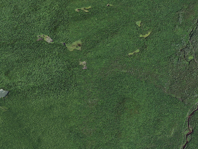 Aerial image of Moose Pond Rd Campsite #6 (Vanderwhacker Mountain Wild Forest)