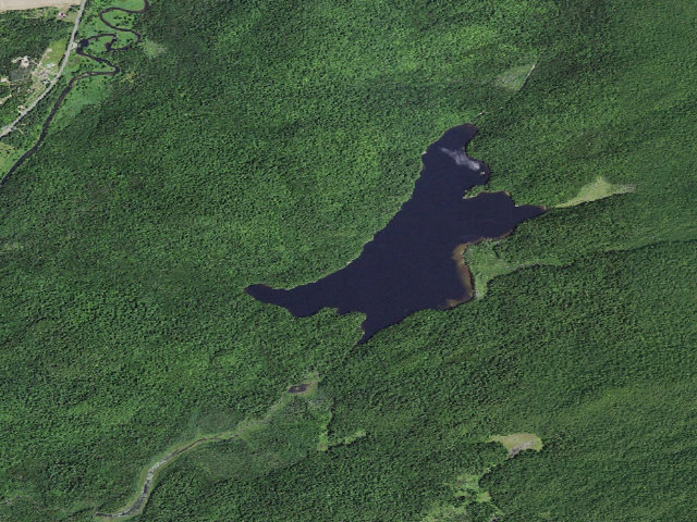 Aerial image of Moose Pond Site 7 (Saranac Lakes Wild Forest)