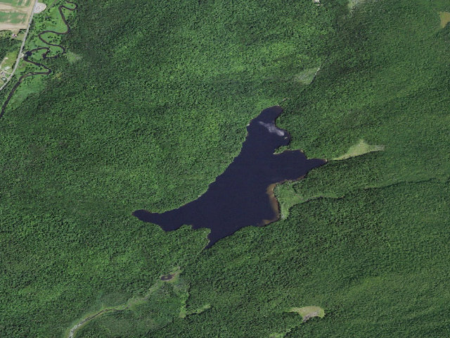 Aerial image of Moose Pond Site 8 (Saranac Lakes Wild Forest)