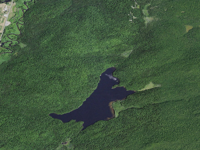 Aerial image of Moose Pond Site 9 (Saranac Lakes Wild Forest)
