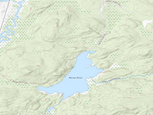USGS topographic map of Moose Pond Site 9 (Saranac Lakes Wild Forest)