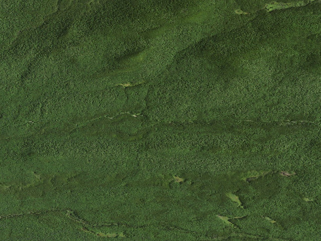 Aerial image of Moose River Plains Campsite 001 (Moose River Plains Camping Area)