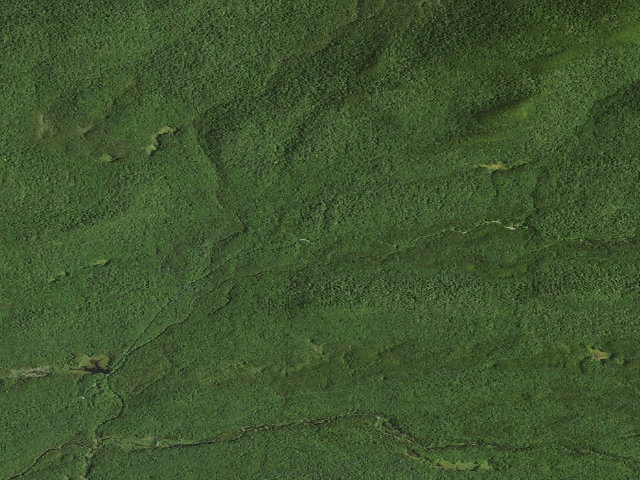 Aerial image of Moose River Plains Campsite 10 (Moose River Plains Camping Area)
