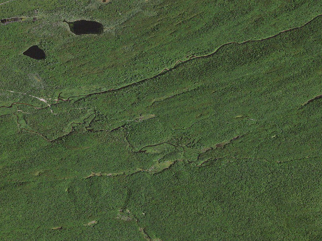 Aerial image of Moose River Plains Campsite 103 (Moose River Plains Wild Forest)