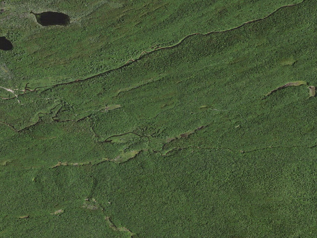 Aerial image of Moose River Plains Campsite 104 (Moose River Plains Wild Forest)