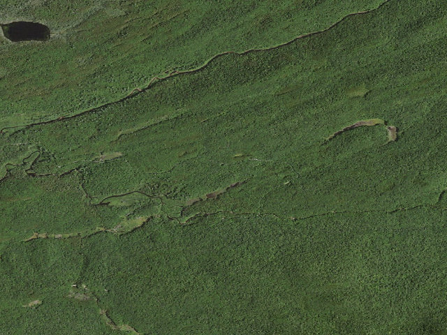 Aerial image of Moose River Plains Campsite 106 (Moose River Plains Wild Forest)
