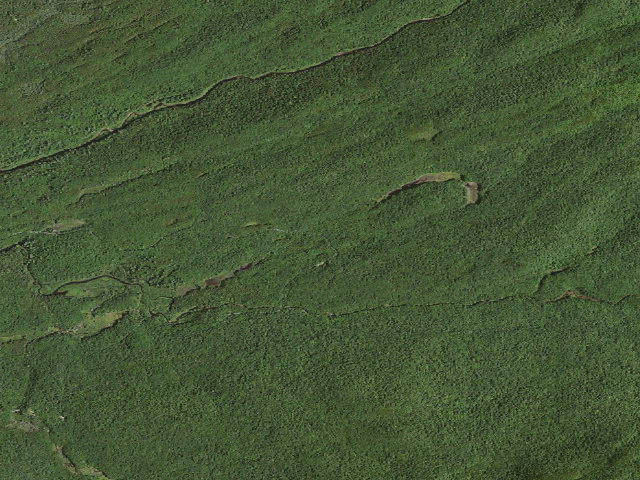 Aerial image of Moose River Plains Campsite 110 (Moose River Plains Wild Forest)