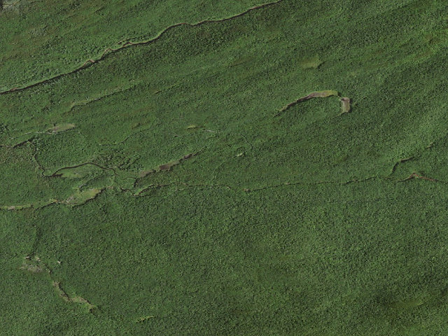 Aerial image of Moose River Plains Campsite 111 (Moose River Plains Wild Forest)