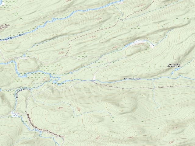 USGS topographic map of Moose River Plains Campsite 111 (Moose River Plains Wild Forest)