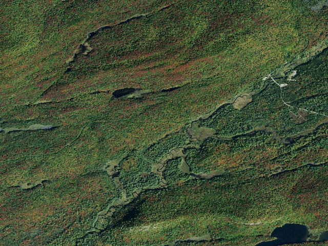 Aerial image of Moose River Plains Campsite 119A (Moose River Plains Camping Area)