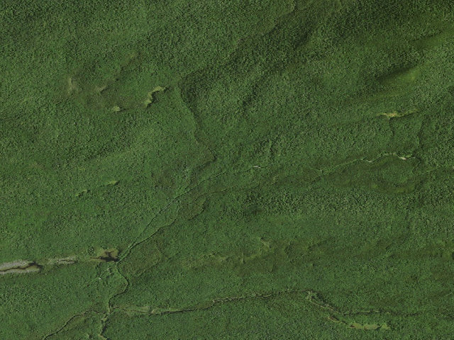 Aerial image of Moose River Plains Campsite 12 (Moose River Plains Camping Area)