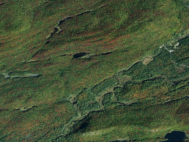 Aerial image of Moose River Plains Campsite 120 (Moose River Plains Camping Area)