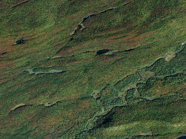 Aerial image of Moose River Plains Campsite 122 (Moose River Plains Camping Area)