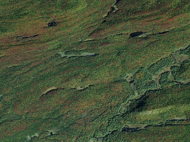 Aerial image of Moose River Plains Campsite 123 (Moose River Plains Camping Area)