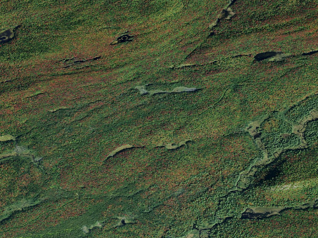 Aerial image of Moose River Plains Campsite 123A (Moose River Plains Camping Area)