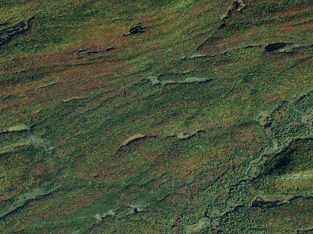 Aerial image of Moose River Plains Campsite 124 (Moose River Plains Camping Area)