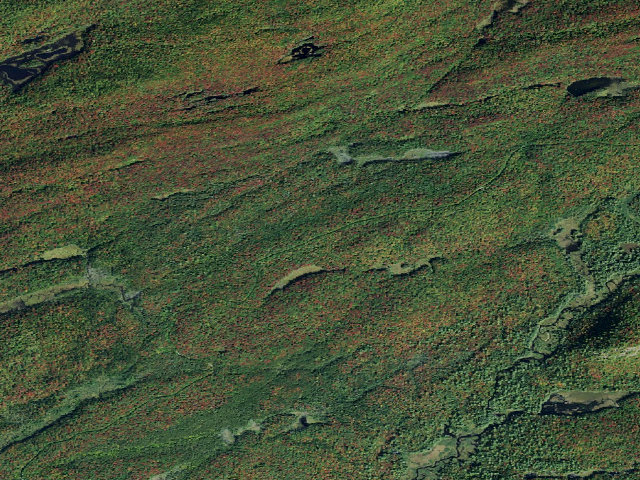 Aerial image of Moose River Plains Campsite 124A (Moose River Plains Camping Area)