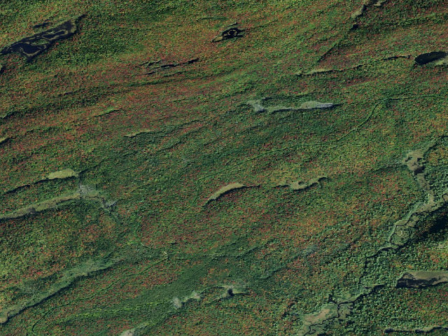 Aerial image of Moose River Plains Campsite 125 (Moose River Plains Camping Area)