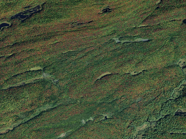 Aerial image of Moose River Plains Campsite 125A (Moose River Plains Camping Area)
