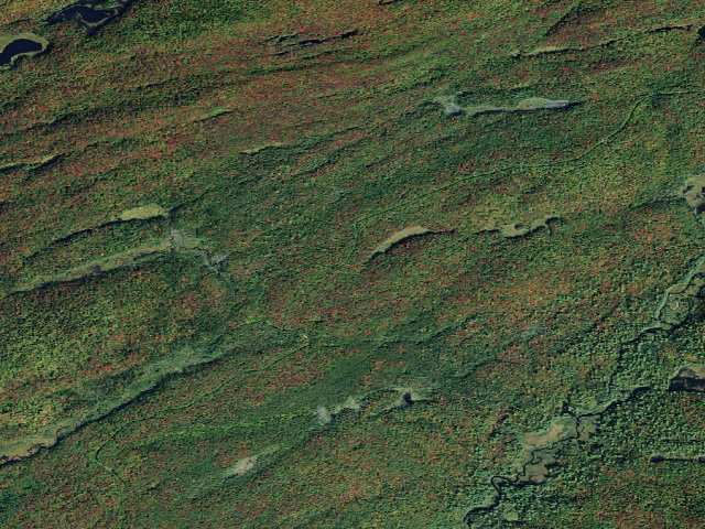 Aerial image of Moose River Plains Campsite 126 (Moose River Plains Camping Area)