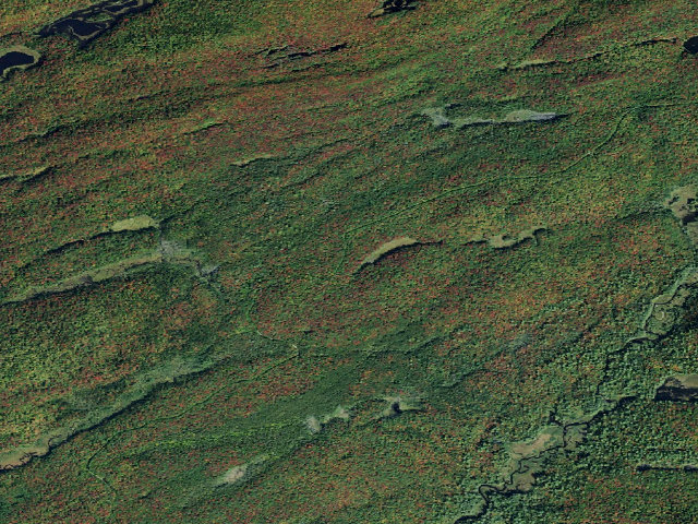Aerial image of Moose River Plains Campsite 126A (Moose River Plains Camping Area)