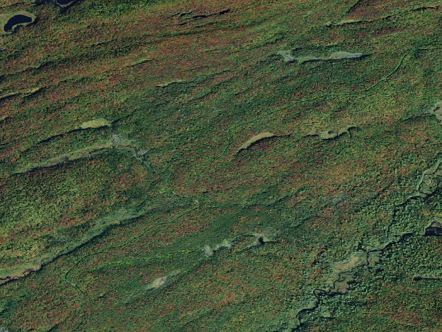 Aerial image of Moose River Plains Campsite 127 (Moose River Plains Camping Area)