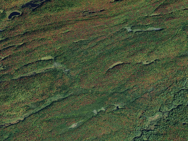 Aerial image of Moose River Plains Campsite 128 (Moose River Plains Camping Area)