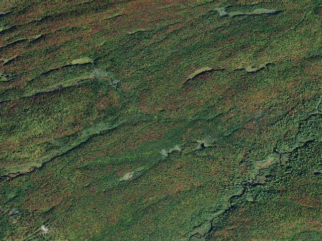 Aerial image of Moose River Plains Campsite 129 (Moose River Plains Camping Area)