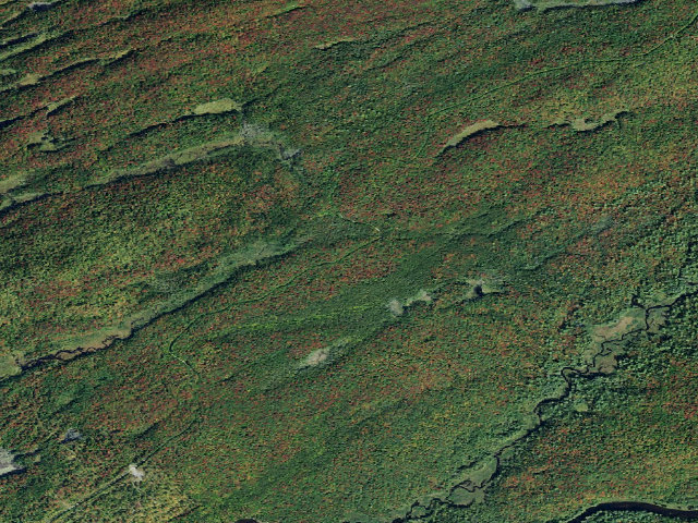 Aerial image of Moose River Plains Campsite 129A (Moose River Plains Camping Area)